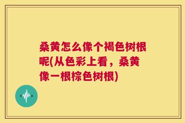 桑黄怎么像个褐色树根呢(从色彩上看,桑黄像一根棕色树根) 桑黄怎么像个褐色树根呢(从色彩上看,桑黄像一根棕色树根)