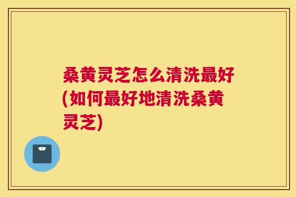 桑黄灵芝怎么清洗好(如何好地清洗桑黄灵芝) 桑黄灵芝怎么清洗好(如何好地清洗桑黄灵芝)