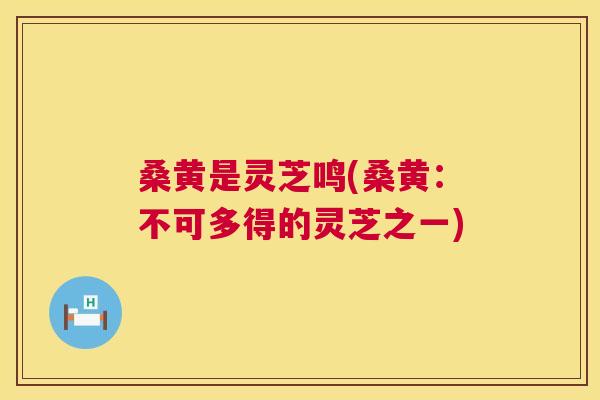 桑黄是灵芝鸣(桑黄:不可多得的灵芝之一) 桑黄是灵芝鸣(桑黄:不可多得的灵芝之一)