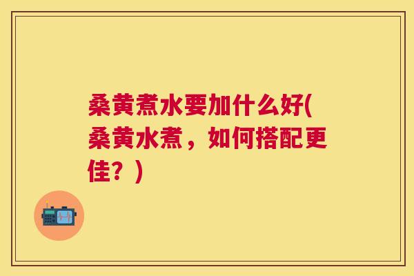 桑黄煮水要加什么好(桑黄水煮，如何搭配更佳？)