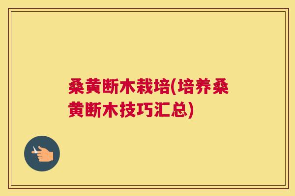 桑黄断木栽培(培养桑黄断木技巧汇总) 桑黄断木栽培(培养桑黄断木技巧汇总)