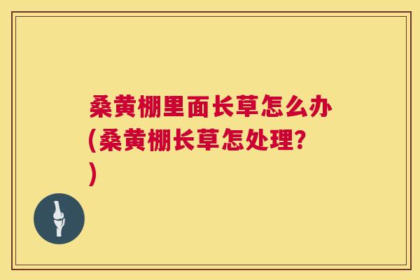 桑黄棚里面长草怎么办(桑黄棚长草怎处理?) 桑黄棚里面长草怎么办(桑黄棚长草怎处理?)