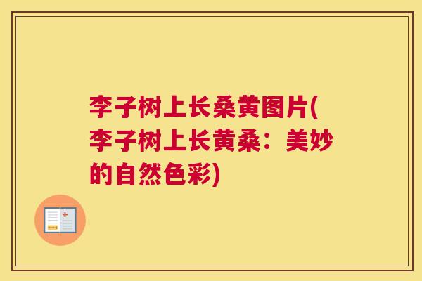 李子树上长桑黄图片(李子树上长黄桑:美妙的自然色彩) 李子树上长桑黄图片(李子树上长黄桑:美妙的自然色彩)