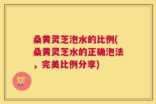 桑黄灵芝泡水的比例(桑黄灵芝水的正确泡法,完美比例分享) 桑黄灵芝泡水的比例(桑黄灵芝水的正确泡法,完美比例分享)