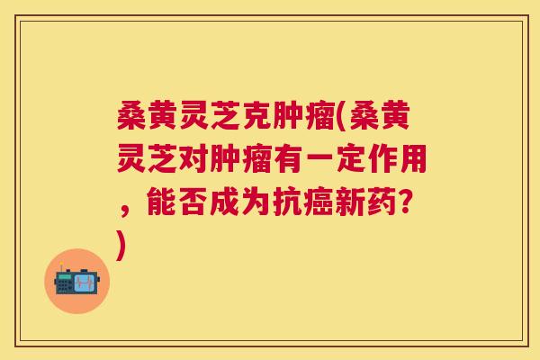 桑黄灵芝克(桑黄灵芝对有一定作用，能否成为抗新药？)