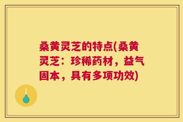 桑黄灵芝的特点(桑黄灵芝:珍稀药材,益气固本,具有多项功效) 桑黄灵芝的特点(桑黄灵芝:珍稀药材,益气固本,具有多项功效)