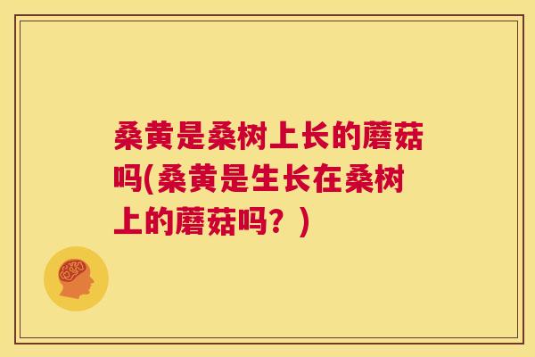 桑黄是桑树上长的蘑菇吗(桑黄是生长在桑树上的蘑菇吗？)
