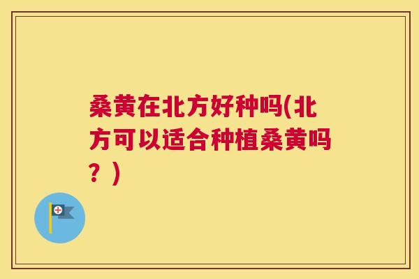 桑黄在北方好种吗(北方可以适合种植桑黄吗？)