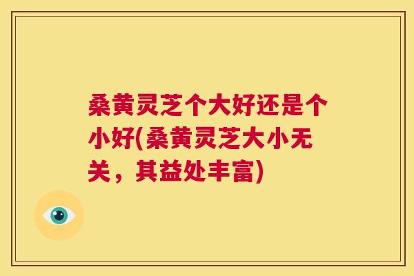 桑黄灵芝个大好还是个小好(桑黄灵芝大小无关,其益处丰富) 桑黄灵芝个大好还是个小好(桑黄灵芝大小无关,其益处丰富)