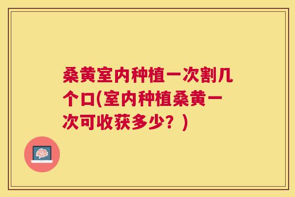 桑黄室内种植一次割几个口(室内种植桑黄一次可收获多少?) 桑黄室内种植一次割几个口(室内种植桑黄一次可收获多少?)