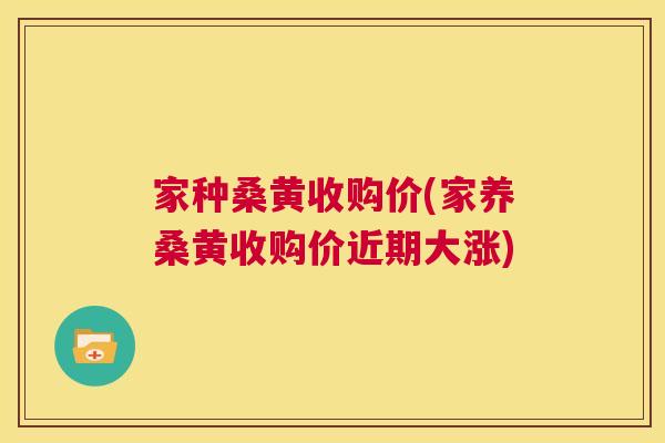家种桑黄收购价(家养桑黄收购价近期大涨) 家种桑黄收购价(家养桑黄收购价近期大涨)