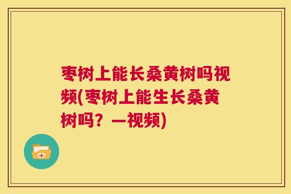 枣树上能长桑黄树吗视频(枣树上能生长桑黄树吗?—视频) 枣树上能长桑黄树吗视频(枣树上能生长桑黄树吗?—视频)