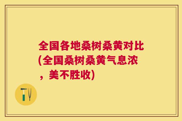 全国各地桑树桑黄对比(全国桑树桑黄气息浓,美不胜收) 全国各地桑树桑黄对比(全国桑树桑黄气息浓,美不胜收)