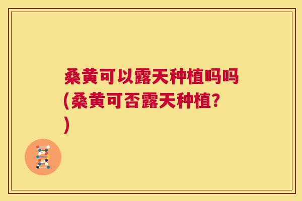 桑黄可以露天种植吗吗(桑黄可否露天种植?) 桑黄可以露天种植吗吗(桑黄可否露天种植?)