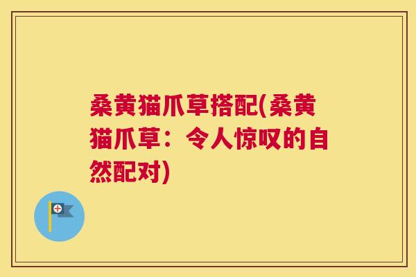桑黄猫爪草搭配(桑黄猫爪草:令人惊叹的自然配对) 桑黄猫爪草搭配(桑黄猫爪草:令人惊叹的自然配对)