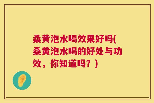 桑黄泡水喝效果好吗(桑黄泡水喝的好处与功效,你知道吗?) 桑黄泡水喝效果好吗(桑黄泡水喝的好处与功效,你知道吗?)