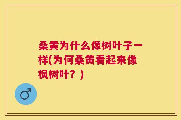 桑黄为什么像树叶子一样(为何桑黄看起来像枫树叶?) 桑黄为什么像树叶子一样(为何桑黄看起来像枫树叶?)