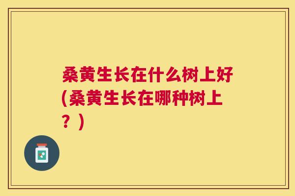 桑黄生长在什么树上好(桑黄生长在哪种树上?) 桑黄生长在什么树上好(桑黄生长在哪种树上?)