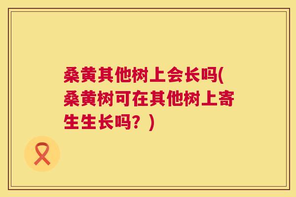 桑黄其他树上会长吗(桑黄树可在其他树上寄生生长吗?) 桑黄其他树上会长吗(桑黄树可在其他树上寄生生长吗?)