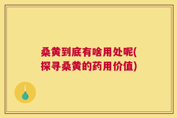 桑黄到底有啥用处呢(探寻桑黄的药用价值) 桑黄到底有啥用处呢(探寻桑黄的药用价值)