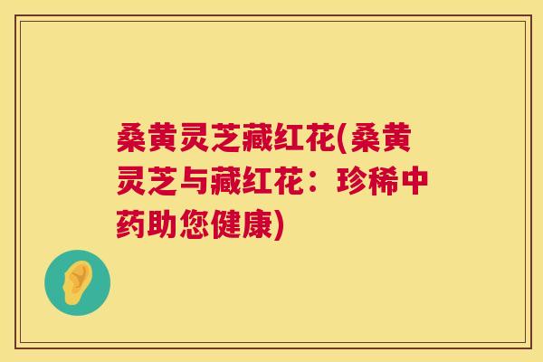 桑黄灵芝藏红花(桑黄灵芝与藏红花:珍稀助您健康) 桑黄灵芝藏红花(桑黄灵芝与藏红花:珍稀助您健康)
