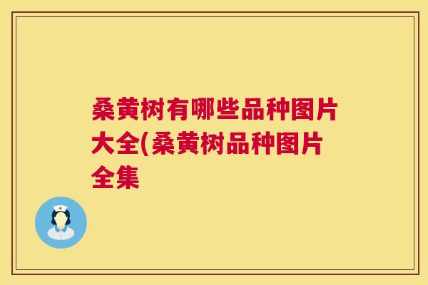 桑黄树有哪些品种图片大全(桑黄树品种图片全集 桑黄树有哪些品种图片大全(桑黄树品种图片全集