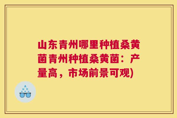 山东青州哪里种植桑黄菌青州种植桑黄菌:产量高,市场前景可观) 山东青州哪里种植桑黄菌青州种植桑黄菌:产量高,市场前景可观)