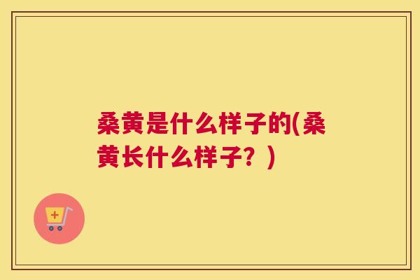 桑黄是什么样子的(桑黄长什么样子?) 桑黄是什么样子的(桑黄长什么样子?)