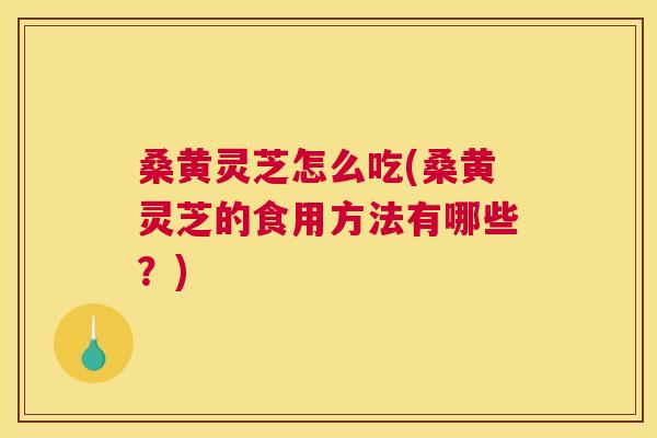 桑黄灵芝怎么吃(桑黄灵芝的食用方法有哪些?) 桑黄灵芝怎么吃(桑黄灵芝的食用方法有哪些?)