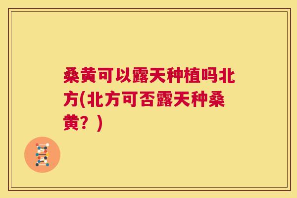 桑黄可以露天种植吗北方(北方可否露天种桑黄?) 桑黄可以露天种植吗北方(北方可否露天种桑黄?)