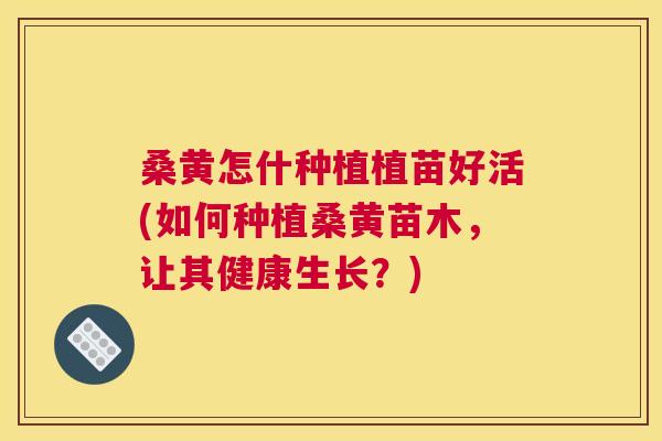 桑黄怎什种植植苗好活(如何种植桑黄苗木，让其健康生长？)