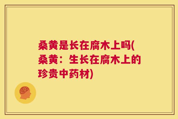 桑黄是长在腐木上吗(桑黄:生长在腐木上的珍贵材) 桑黄是长在腐木上吗(桑黄:生长在腐木上的珍贵材)