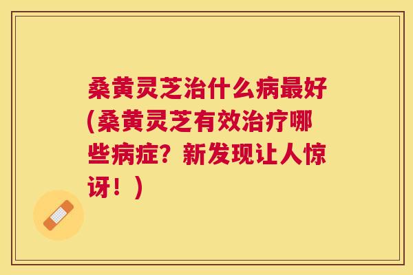 桑黄灵芝什么好(桑黄灵芝有效哪些症?新发现让人惊讶!) 桑黄灵芝什么好(桑黄灵芝有效哪些症?新发现让人惊讶!)