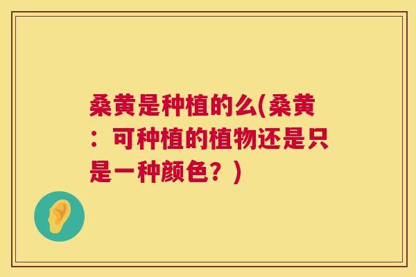 桑黄是种植的么(桑黄:可种植的植物还是只是一种颜色?) 桑黄是种植的么(桑黄:可种植的植物还是只是一种颜色?)