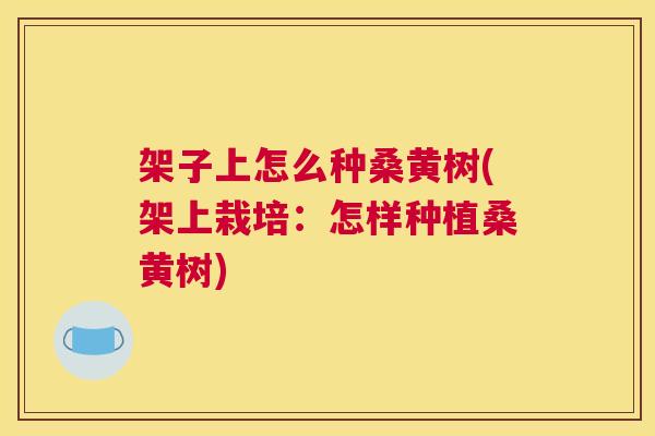 架子上怎么种桑黄树(架上栽培:怎样种植桑黄树) 架子上怎么种桑黄树(架上栽培:怎样种植桑黄树)