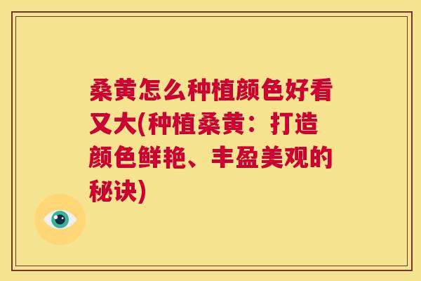 桑黄怎么种植颜色好看又大(种植桑黄:打造颜色鲜艳、丰盈美观的秘诀) 桑黄怎么种植颜色好看又大(种植桑黄:打造颜色鲜艳、丰盈美观的秘诀)