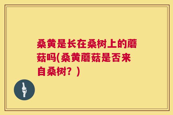 桑黄是长在桑树上的蘑菇吗(桑黄蘑菇是否来自桑树?) 桑黄是长在桑树上的蘑菇吗(桑黄蘑菇是否来自桑树?)