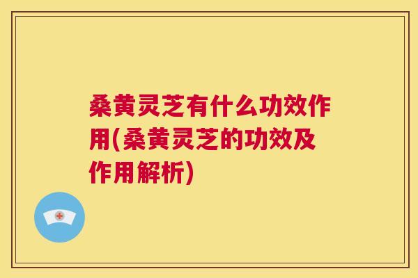 桑黄灵芝有什么功效作用(桑黄灵芝的功效及作用解析) 桑黄灵芝有什么功效作用(桑黄灵芝的功效及作用解析)