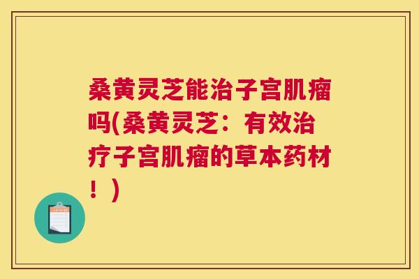 桑黄灵芝能子宫吗(桑黄灵芝:有效子宫的草本药材!) 桑黄灵芝能子宫吗(桑黄灵芝:有效子宫的草本药材!)
