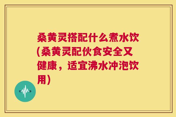 桑黄灵搭配什么煮水饮(桑黄灵配伙食安全又健康,适宜沸水冲泡饮用) 桑黄灵搭配什么煮水饮(桑黄灵配伙食安全又健康,适宜沸水冲泡饮用)