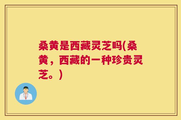 桑黄是西藏灵芝吗(桑黄，西藏的一种珍贵灵芝。)