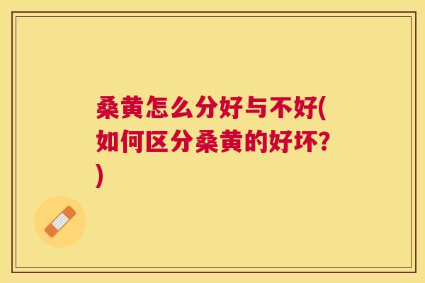 桑黄怎么分好与不好(如何区分桑黄的好坏？)