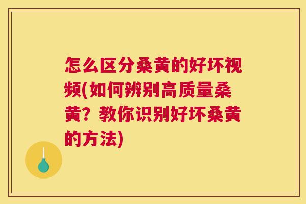 怎么区分桑黄的好坏视频(如何辨别高质量桑黄？教你识别好坏桑黄的方法)