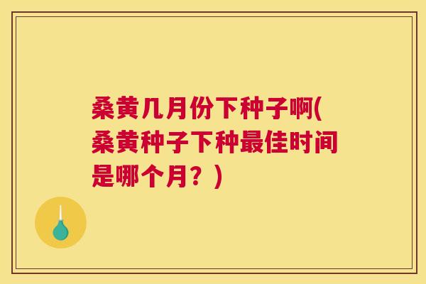 桑黄几月份下种子啊(桑黄种子下种佳时间是哪个月？)