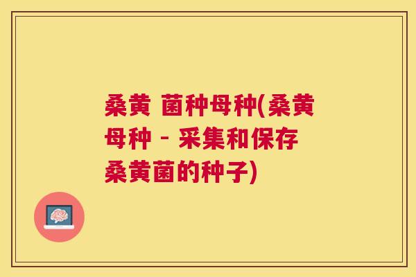 桑黄 菌种母种(桑黄母种 - 采集和保存桑黄菌的种子)