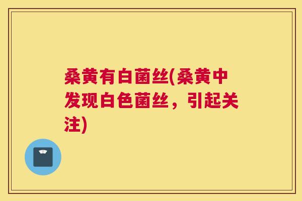 桑黄有白菌丝(桑黄中发现白色菌丝，引起关注)