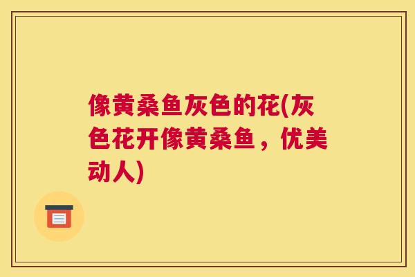 像黄桑鱼灰色的花(灰色花开像黄桑鱼，优美动人)