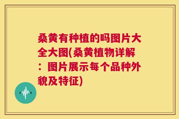 桑黄有种植的吗图片大全大图(桑黄植物详解：图片展示每个品种外貌及特征)