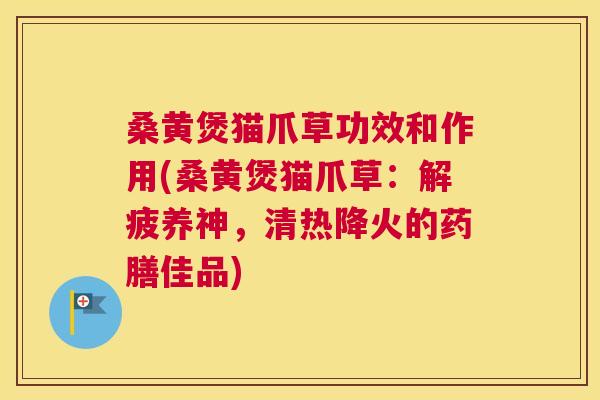 桑黄煲猫爪草功效和作用(桑黄煲猫爪草：解疲养神，清热降火的药膳佳品)