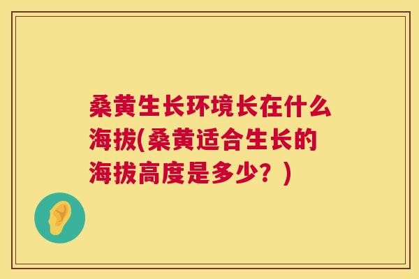桑黄生长环境长在什么海拔(桑黄适合生长的海拔高度是多少？)